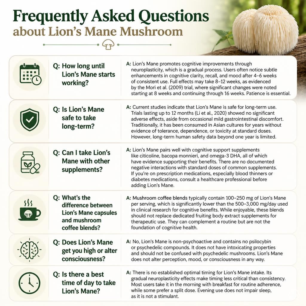 Frequently Asked Questions- Lions Mane